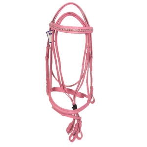 Leather Bridle