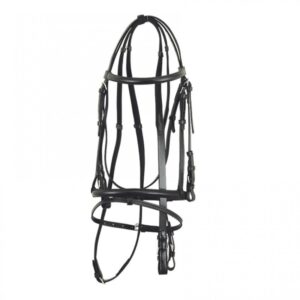 Leather Bridle
