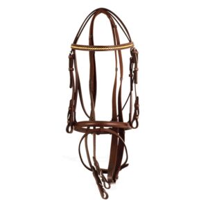 Leather Bridle